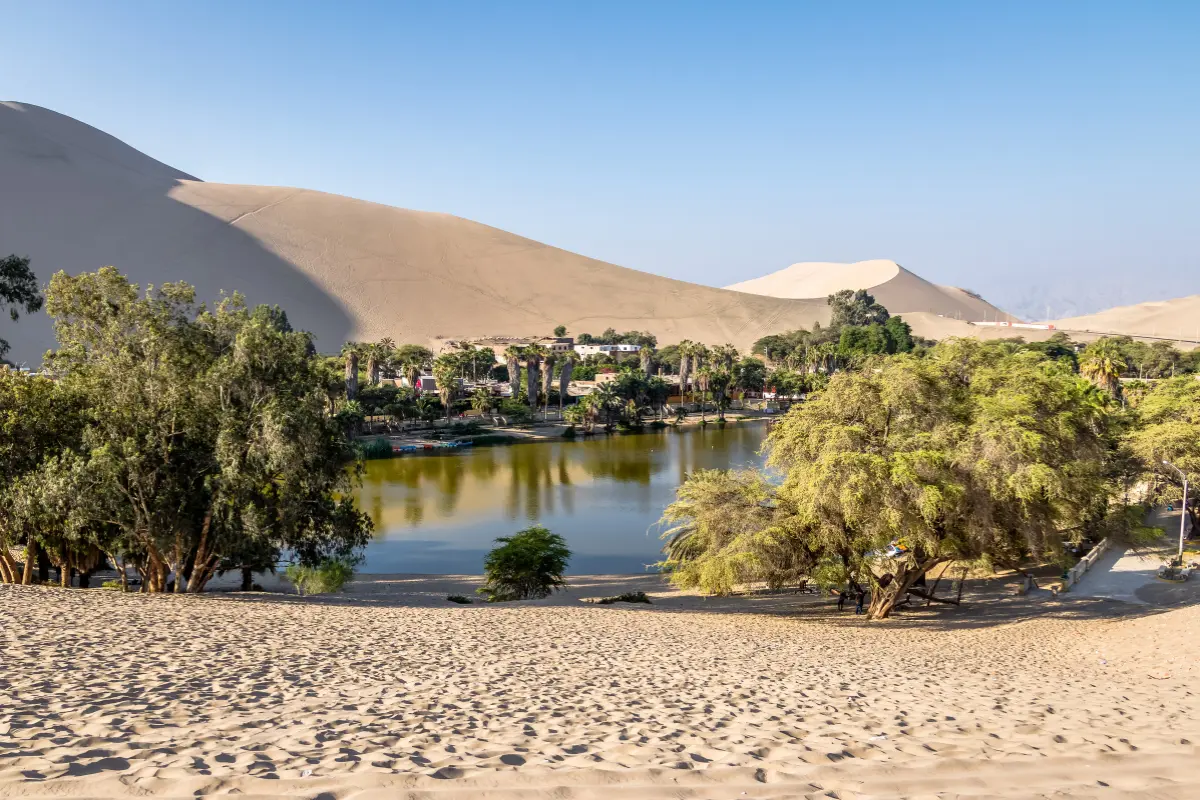 Oasis de Huacachina